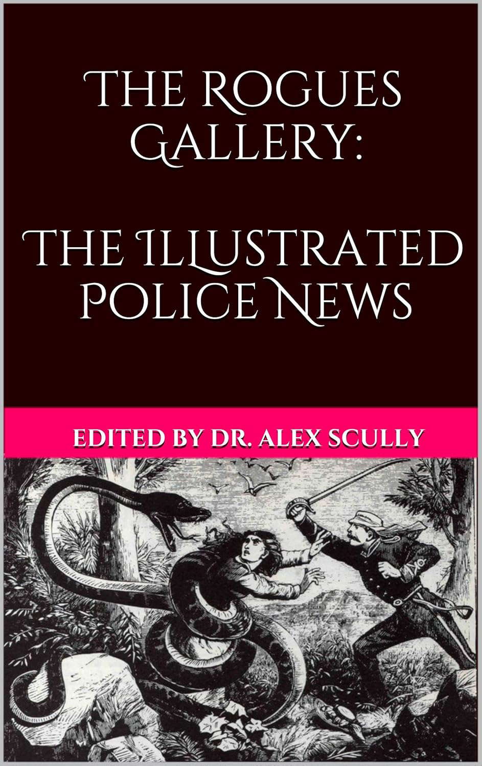 The Rogues Gallery: The Illustrated Police News poster