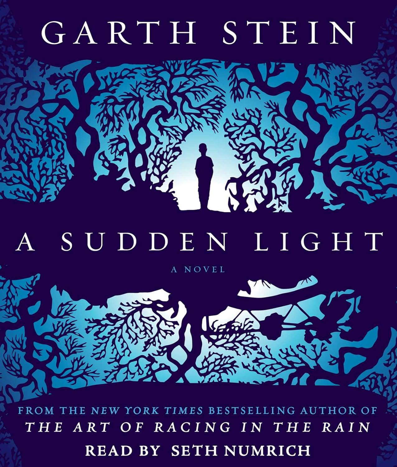 A Sudden Light: A Novel poster