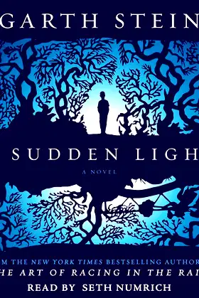 A Sudden Light: A Novel poster