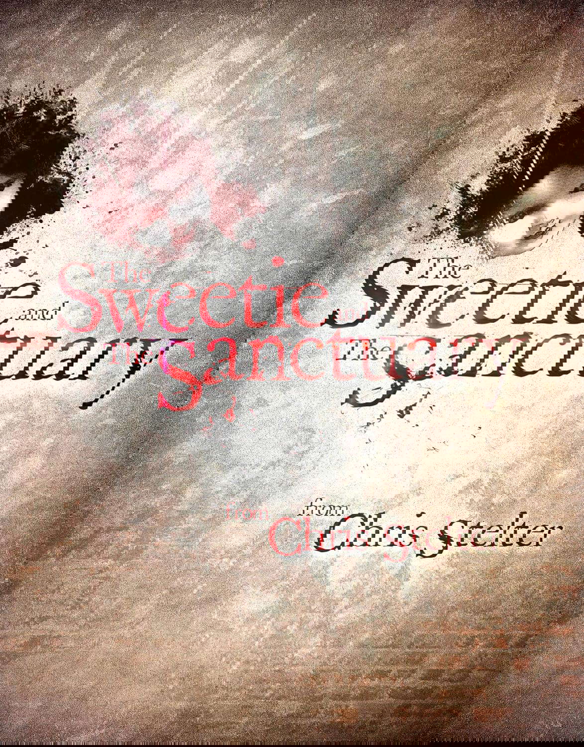 The Sweetie and the Sanctuary poster