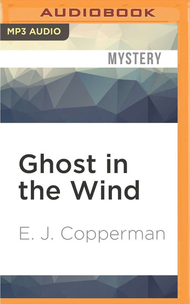 Ghost in the Wind (A Haunted Guesthouse Mystery, 7) poster