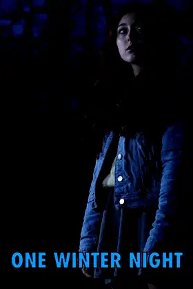 One Winter Night poster