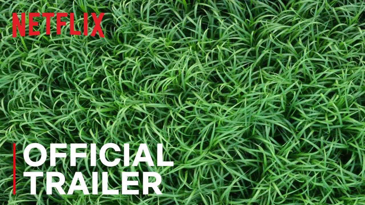 Poster for In the Tall Grass