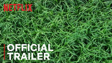 In the Tall Grass | Official Trailer | Netflix poster