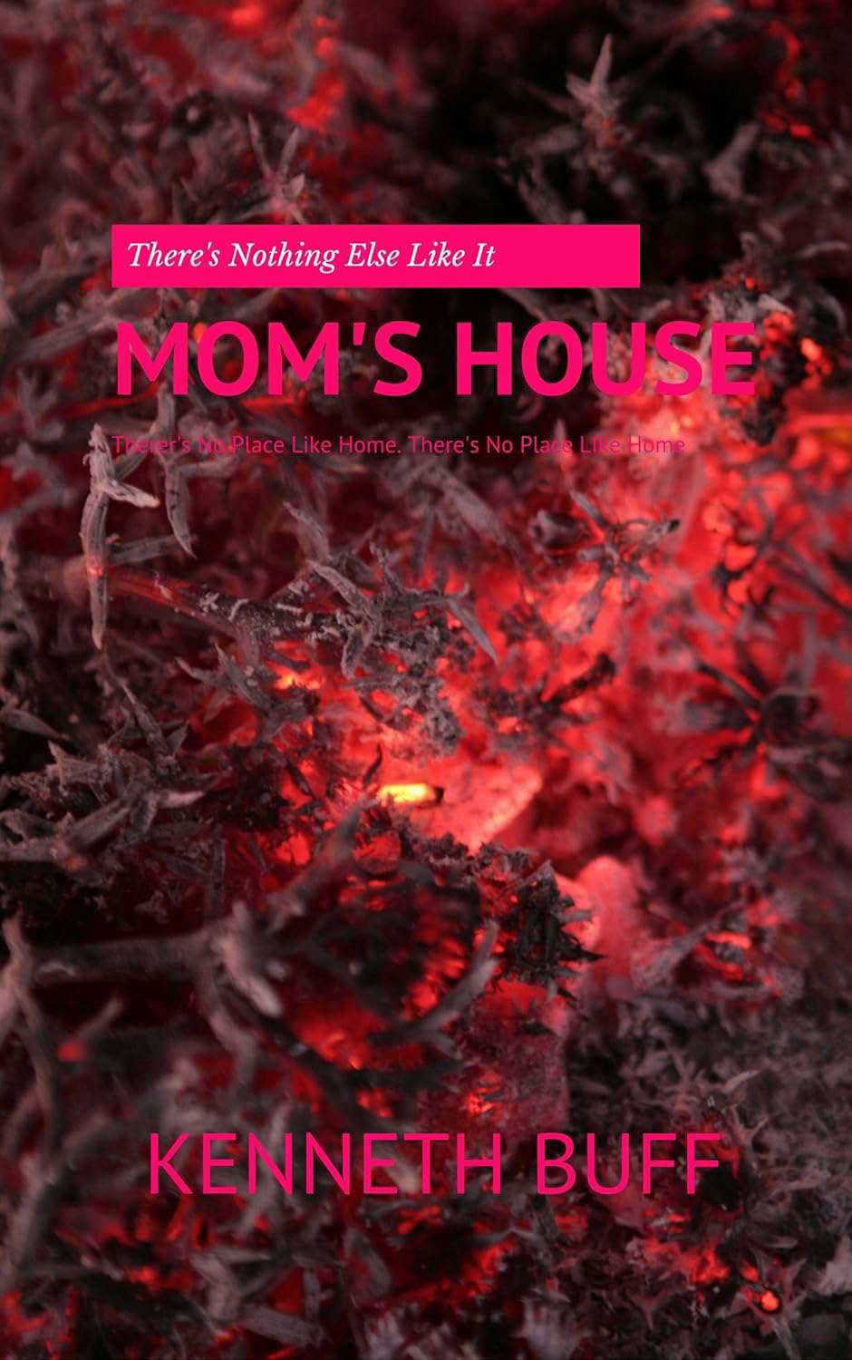 Mom's House poster