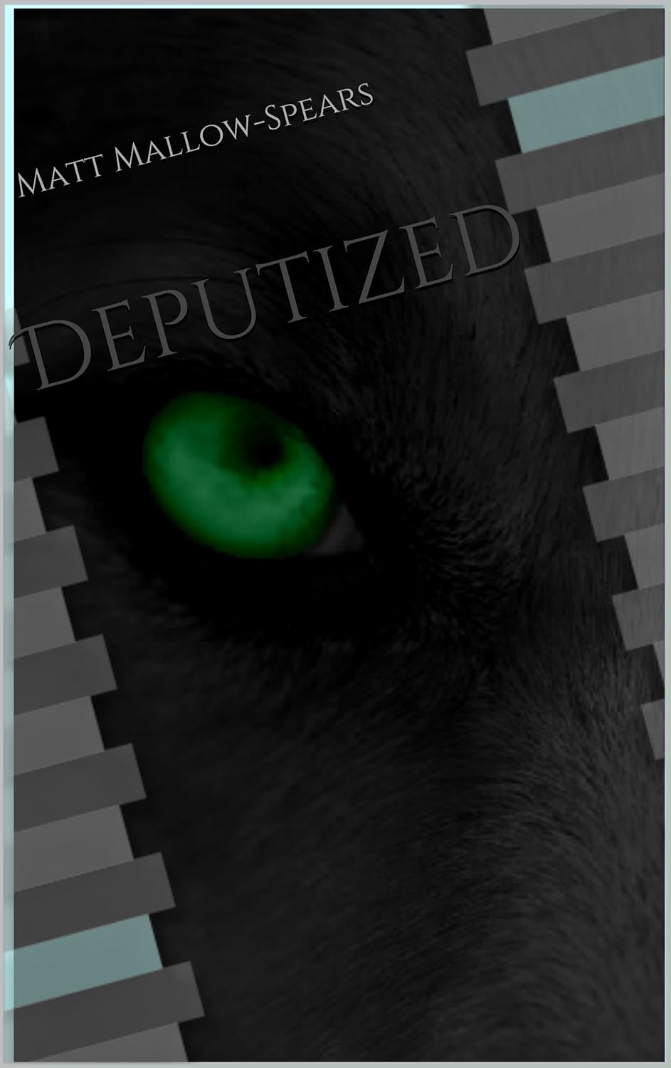 Deputized poster