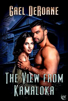 The View from Kamaloka poster