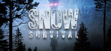Snow Survival capsule