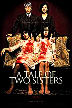 The Tale of Two Sisters (2003): Explained poster