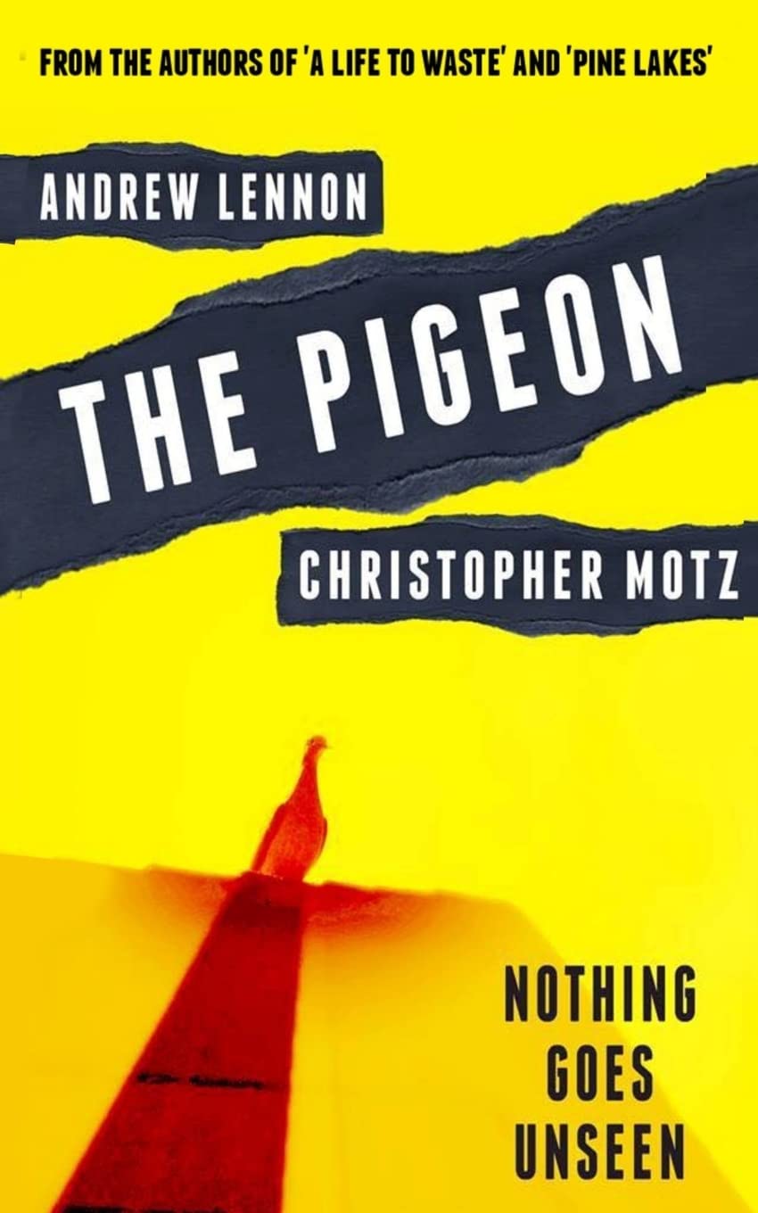 The Pigeon: Nothing Goes Unseen poster