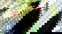 episode poster