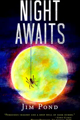 Night Awaits poster