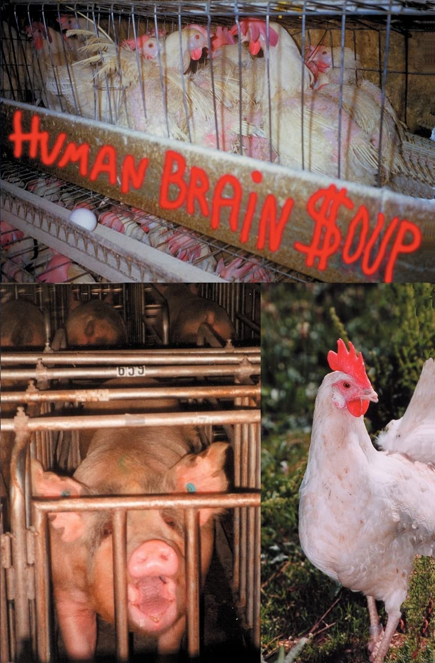 Human Brain Soup poster