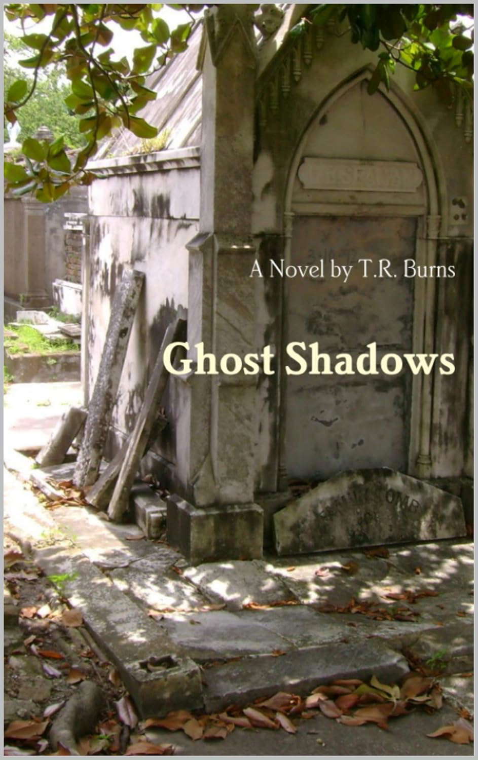Ghost Shadows: A Novel by Todd R Burns poster