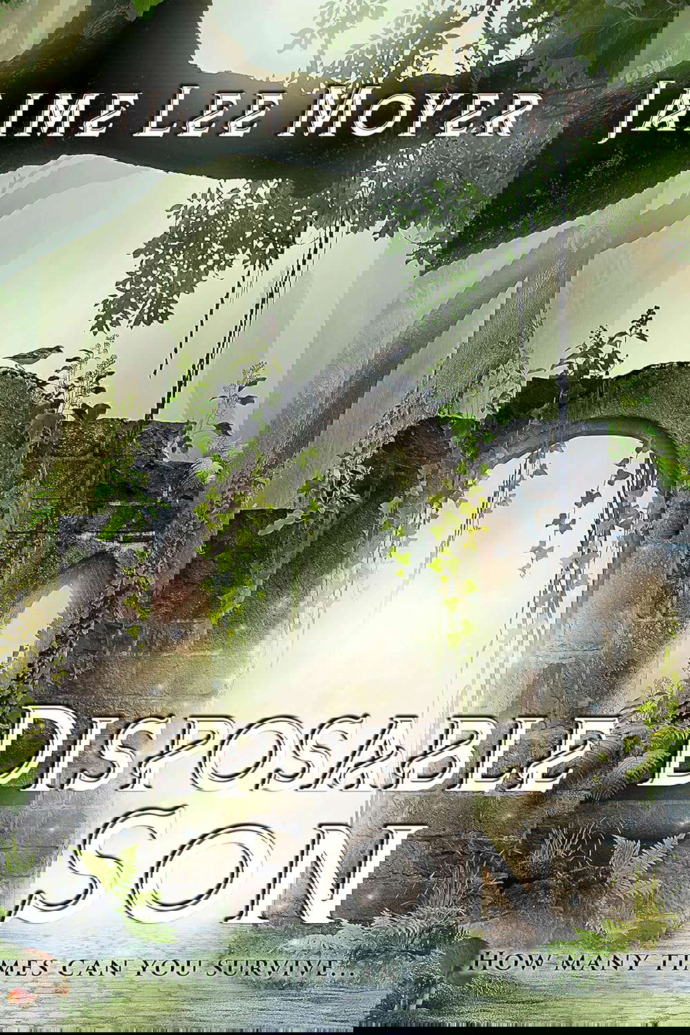 Disposable Son poster