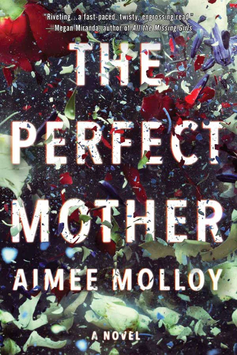 The Perfect Mother: A Novel poster