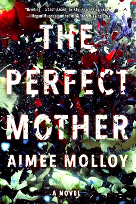 The Perfect Mother: A Novel poster