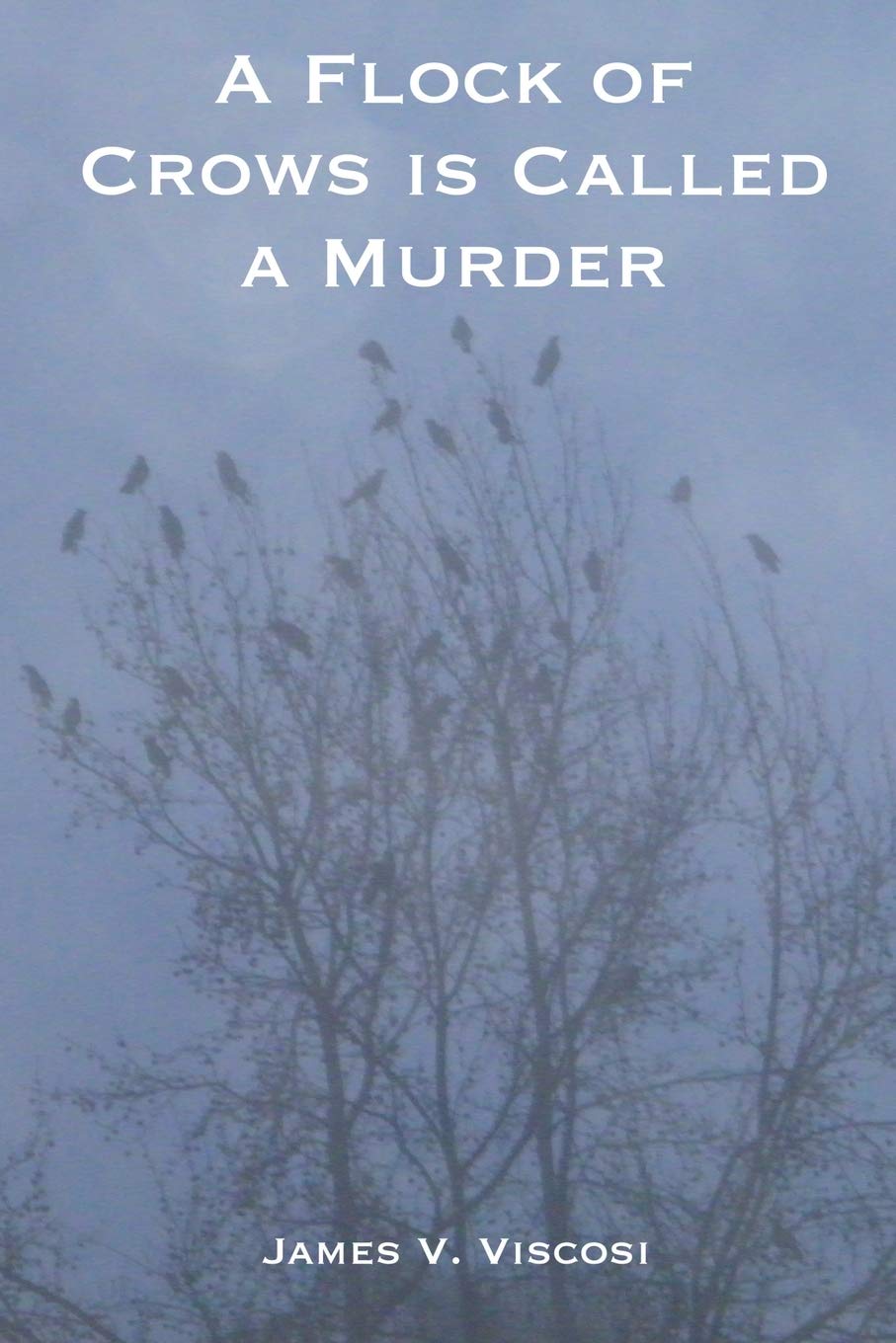 A Flock of Crows is Called a Murder poster