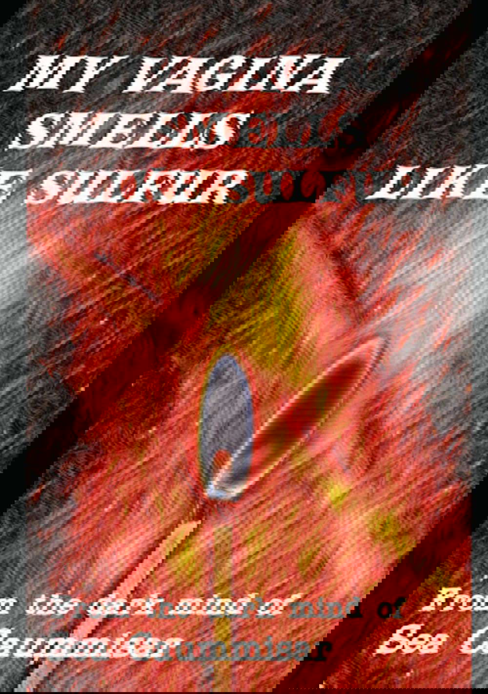 My Vagina Smells Like Sulfur: Extreme Horror (Boss Universe (Dark Web)) poster