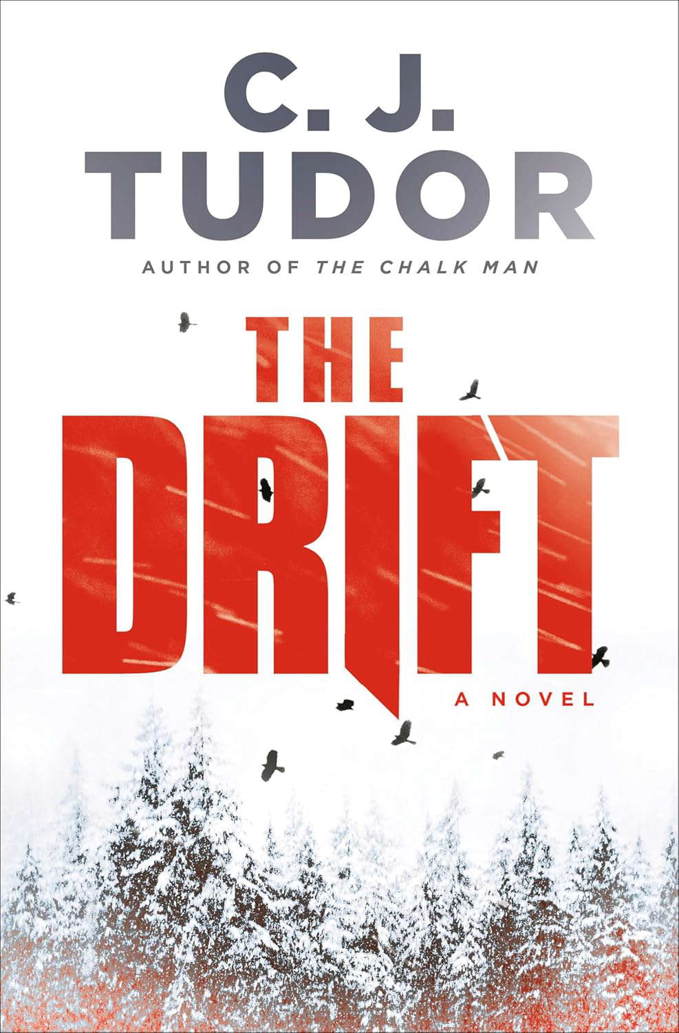 The Drift: A Novel poster