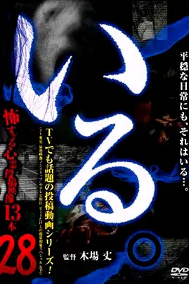「Iru.」~ Kowasugiru Tōkō Eizō 13-hon ~ Vol.28 poster