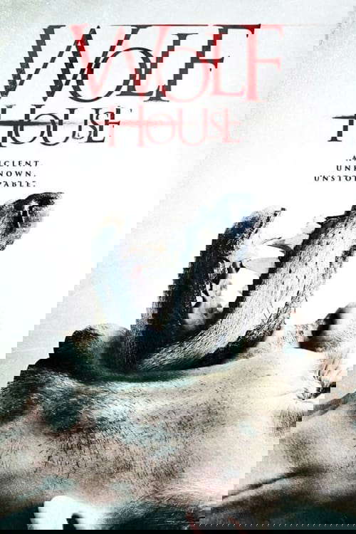 Wolf House poster