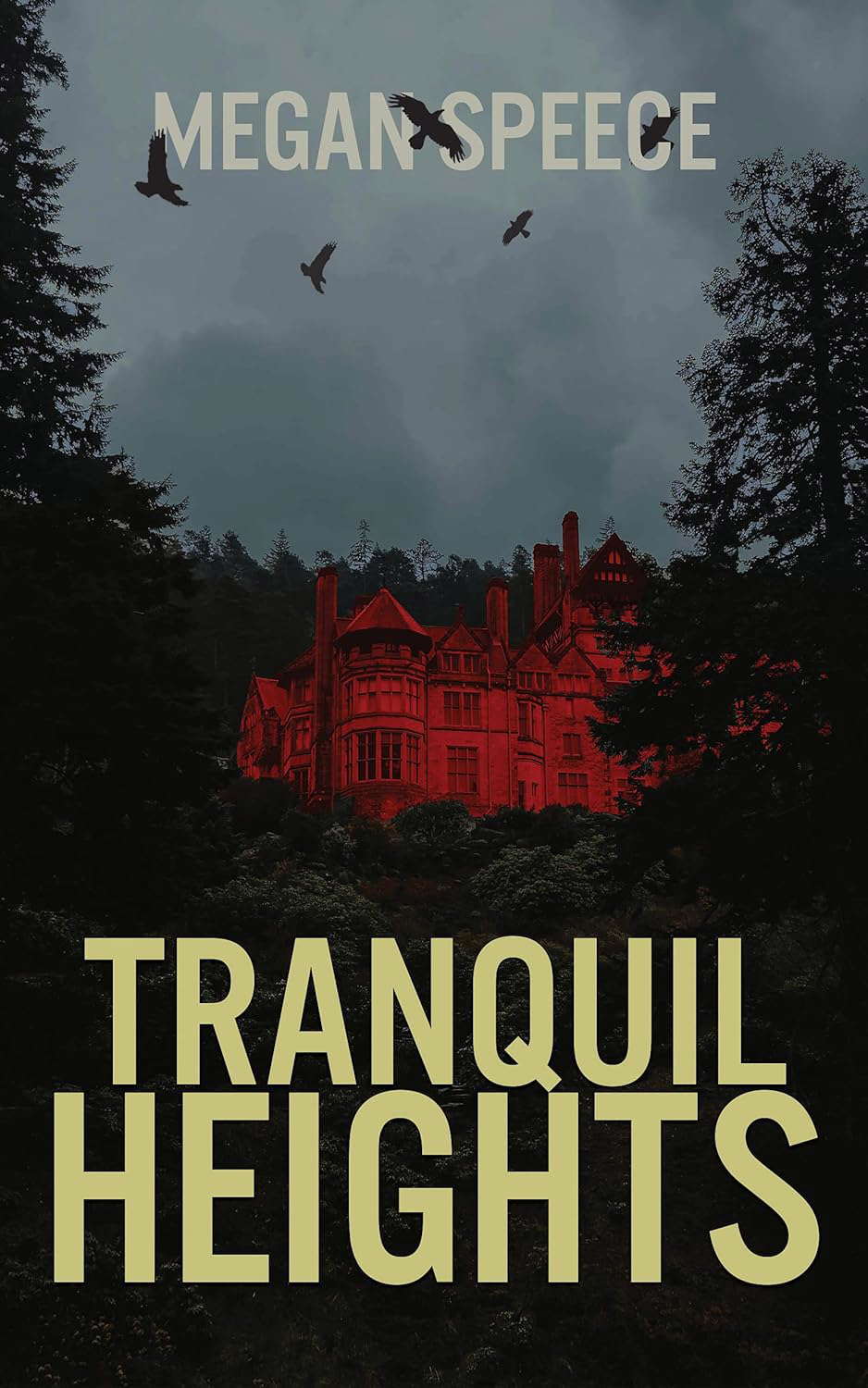 Tranquil Heights: A Paranormal Suspense poster
