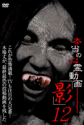 Hontō no Shinrei Dōga 'Kage' 12 poster