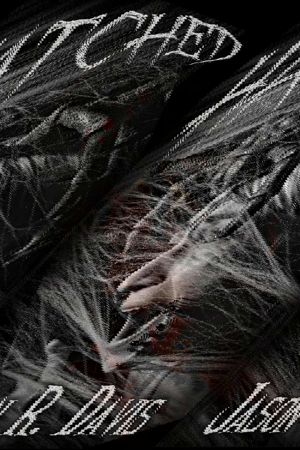 Hatched (Invisible Spiders Book 1) poster