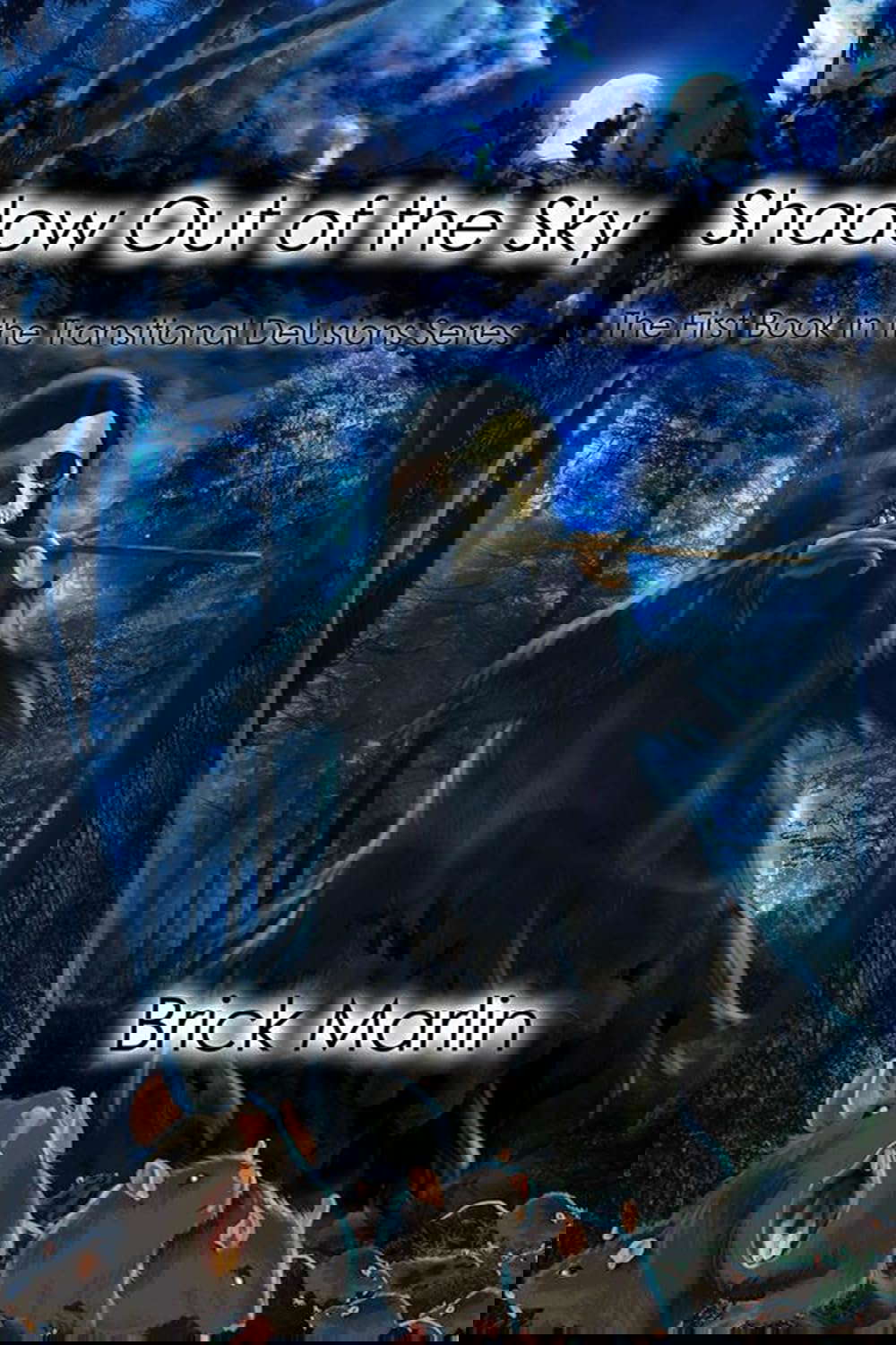 Shadow Out of the Sky (Transitional Delusions Series Book 1) poster