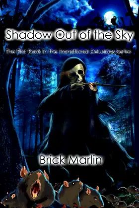 Shadow Out of the Sky (Transitional Delusions Series Book 1) poster