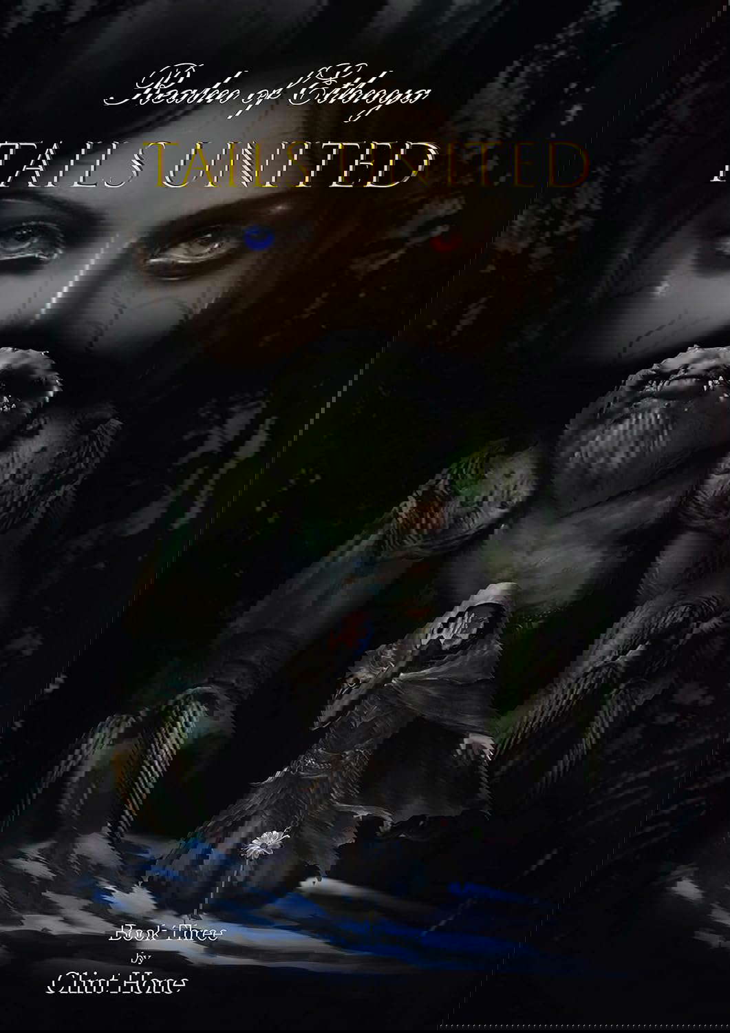 Tails United: Realm of Ethnya - Book Three poster