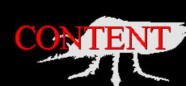 Content capsule