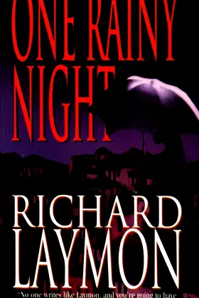 One Rainy Night poster