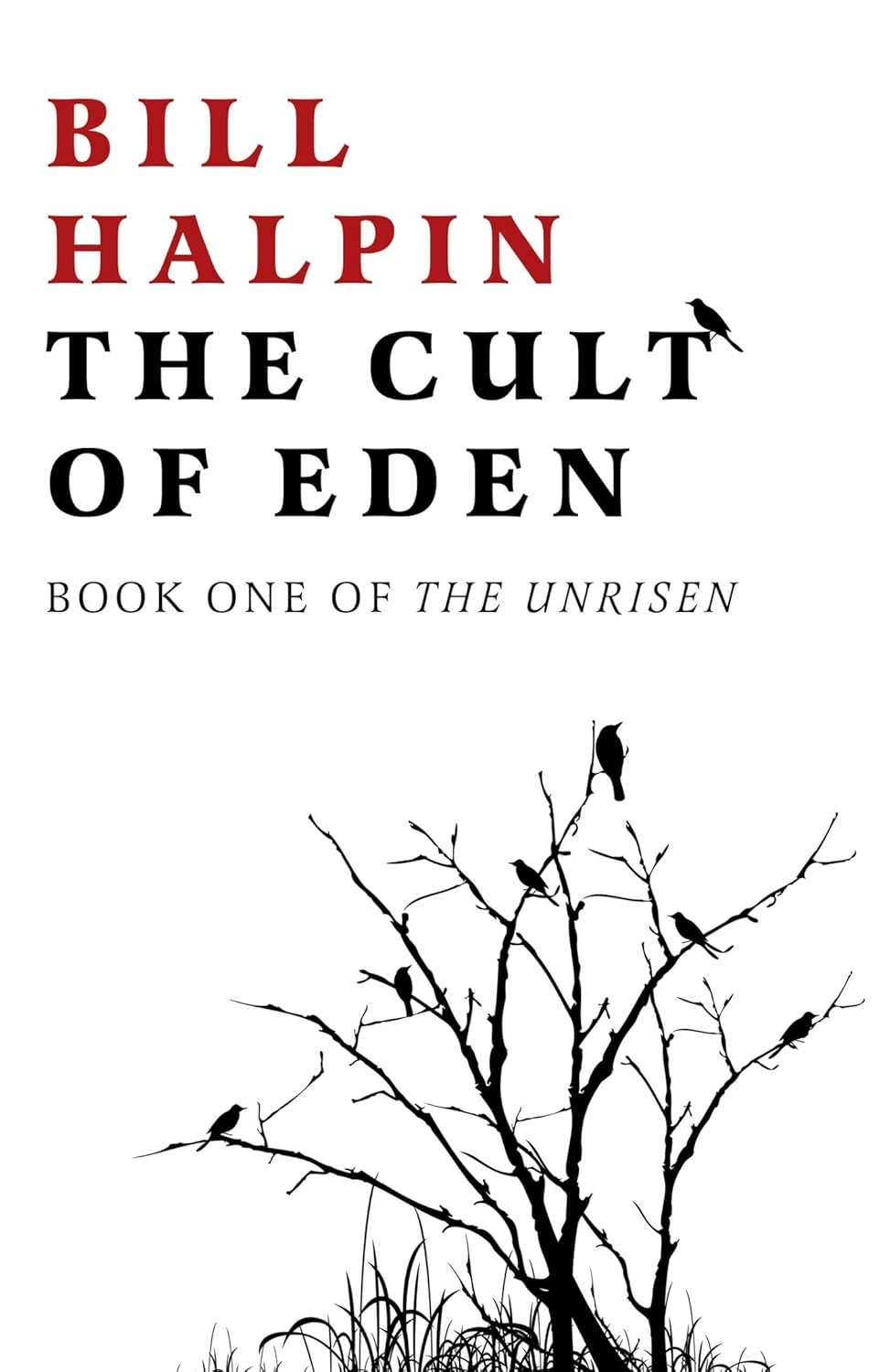 The Cult of Eden: Book One Of The Unrisen poster