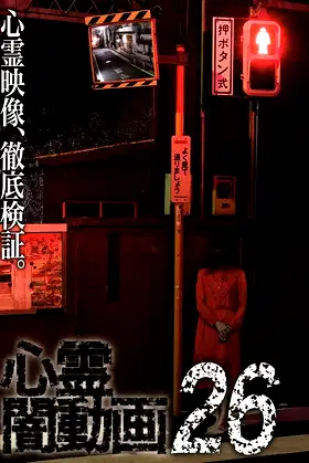 Psychic Darkness Video 26 poster