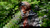 episode poster