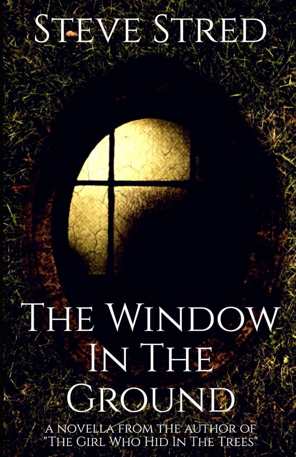 The Window In the Ground poster