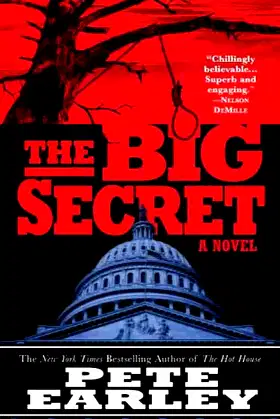The Big Secret: A Novel poster