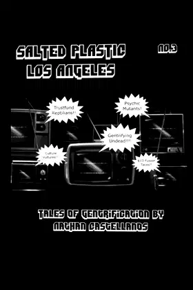Salted Plastic: Tales of Gentrification 3 poster