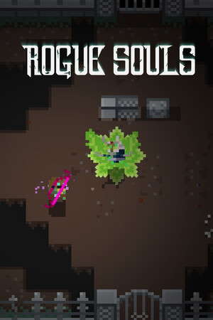 Rogue Souls poster