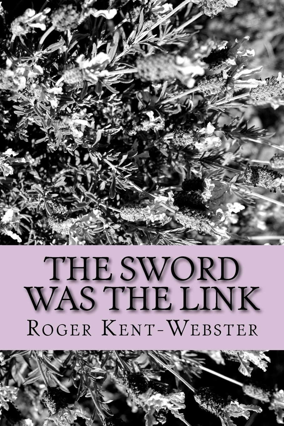 The sword was the link (Roy Wickers psychic adventures) (Volume 5) poster