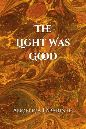The Light Was Good poster