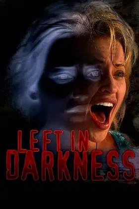 Left In Darkness poster