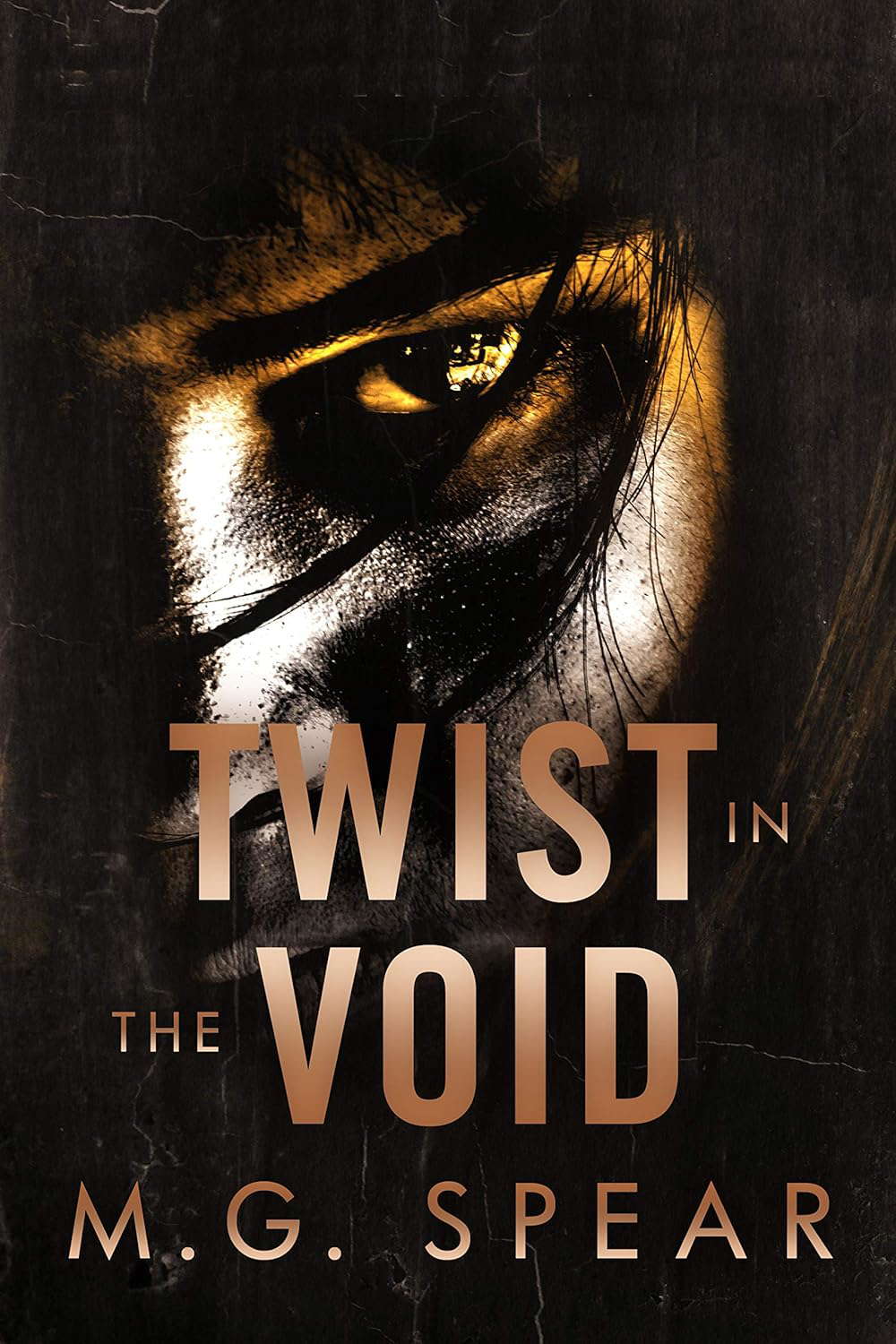 Twist in the Void poster