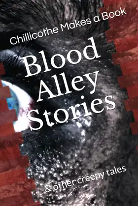 Blood Alley Stories: Chillicothe Makes a Book poster