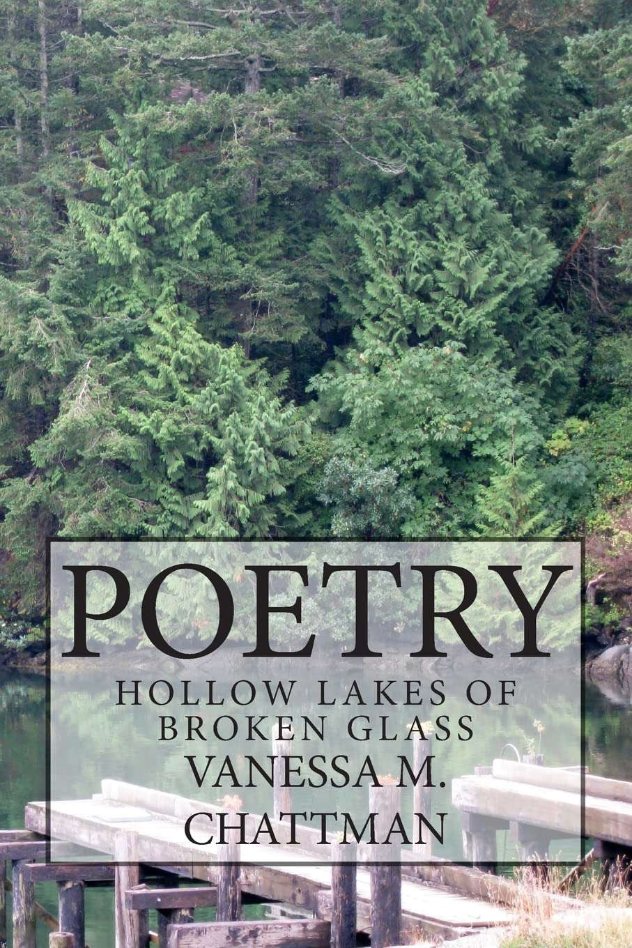 Poetry: Hollow Lakes of Broken Glass poster