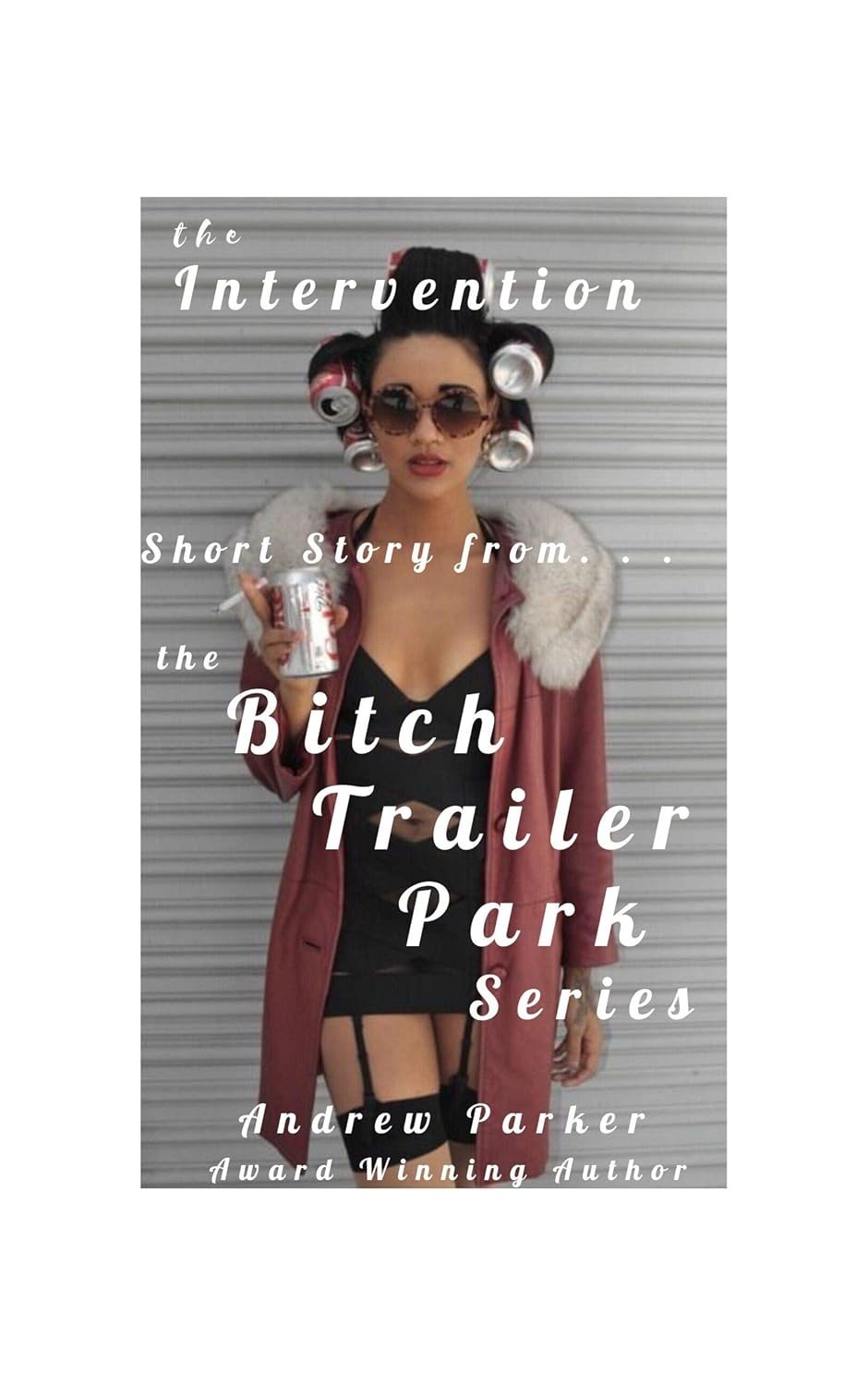 The Intervention: From the Bitch Trailer Park series poster