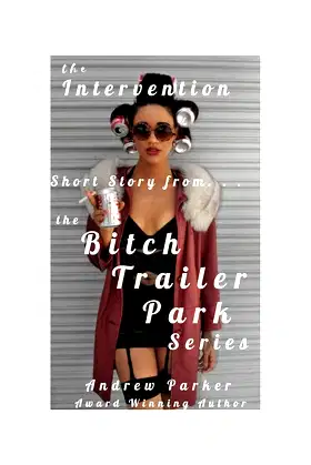 The Intervention: From the Bitch Trailer Park series poster