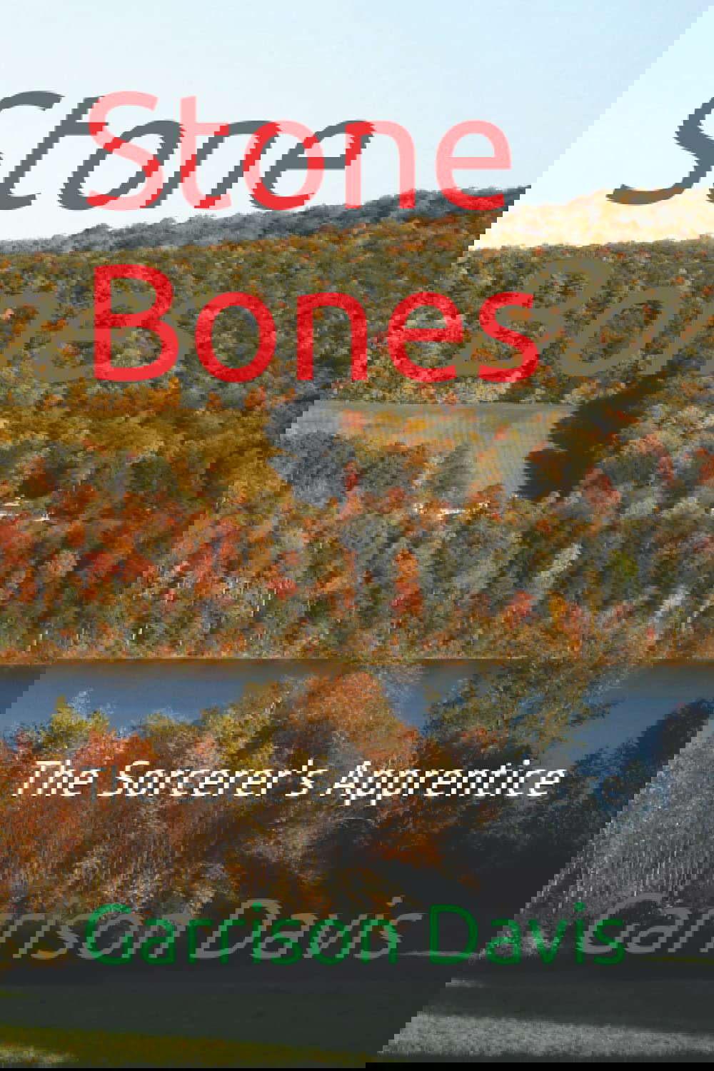 Stone Bones: The Sorcerer's Apprentice poster